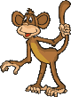 Affe