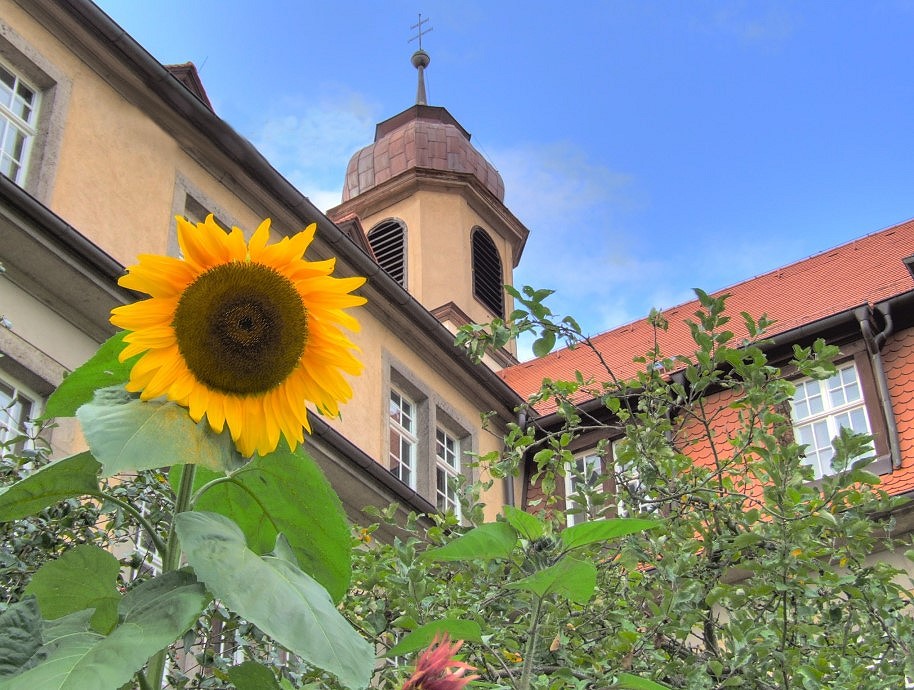 Das Aloiysianum in Lohr am Main