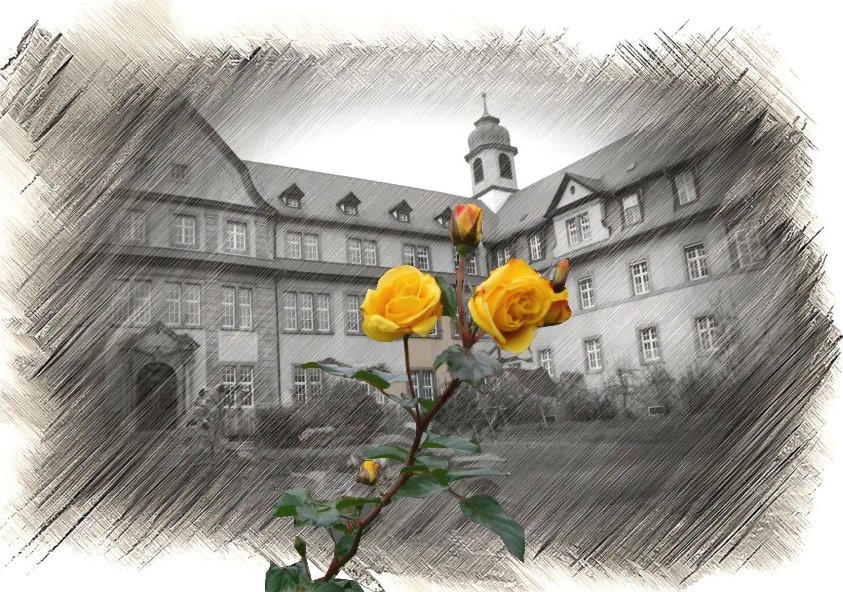 Das Aloysianum in Lohr a. Main im Dornrschenschlaf