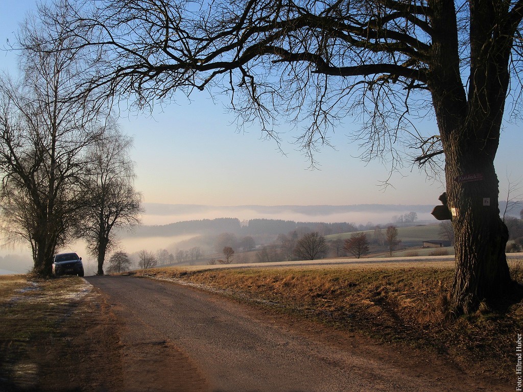 An der Birkenhainer Landstrasse (nhe Bayerische Schanz)
