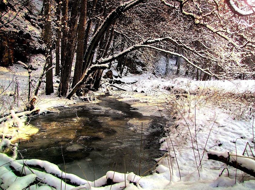 Winterspaziergang im Buchental zwischen Steinbach und Maria Buchen