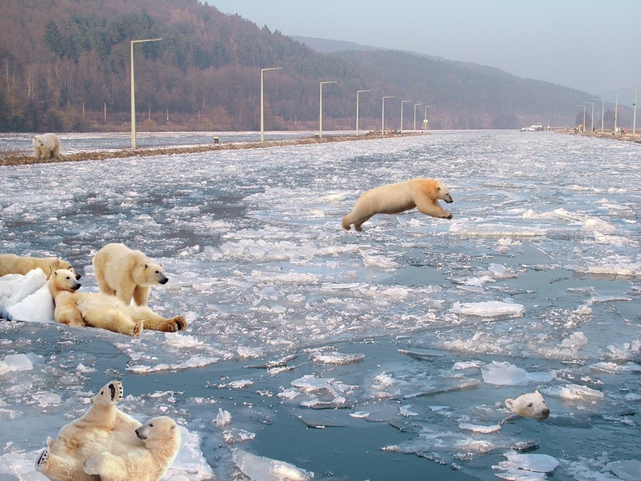 Eiszeit an der Schleuse in Lohr a. Main Steinbach