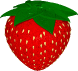 Erdbeeren
