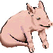 Spanferkel
