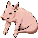 Spanferkel