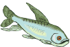 Fische im Main