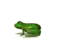 Frosch