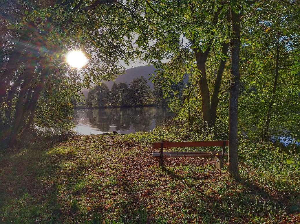 Goldener Oktober im Maintal  in Main Spessart