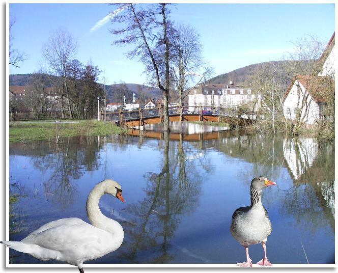 Hochwasser in Lohr am Main