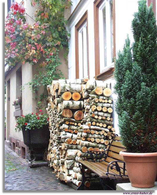 Holz vor der Hütte in der oberen Schlachthausgasse in Lohr am Main