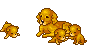 Hundewelpen