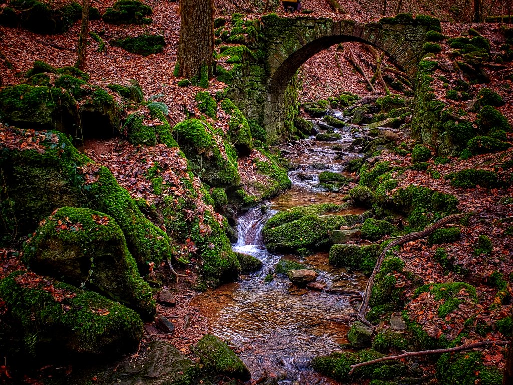 Spaziergang durch die Klingenbachschlucht in Triefenstein a. Main