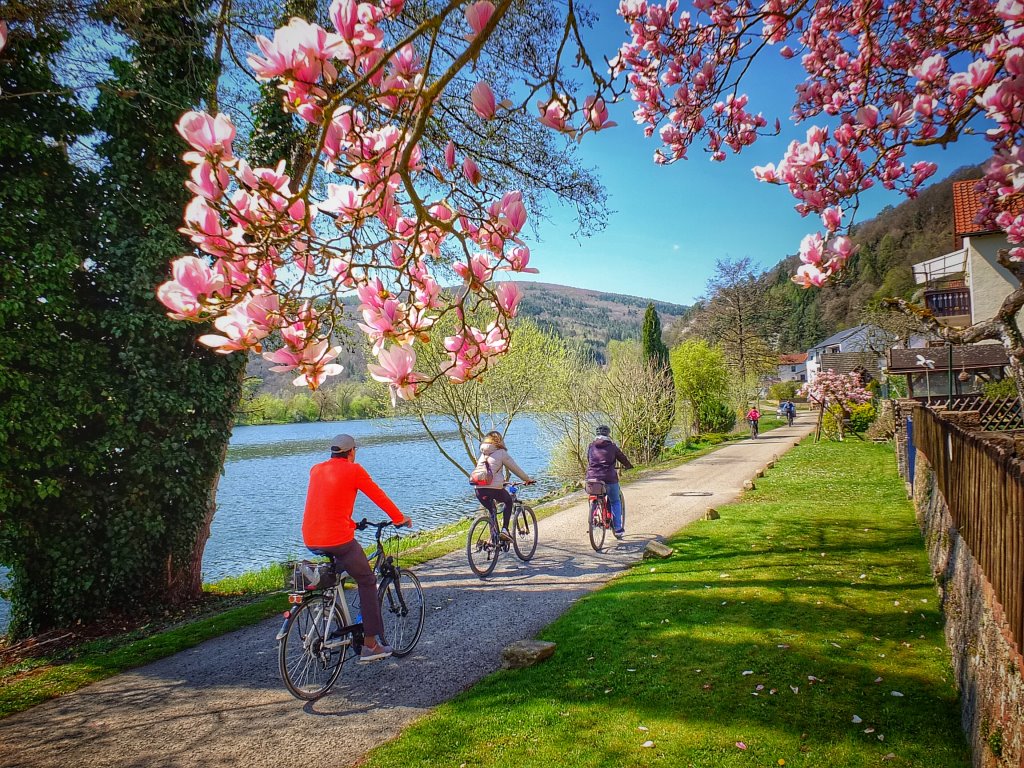 Unterwegs im Landkreis  Main - Spessart