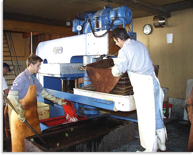 Mostpresse in Lohr / Wombach