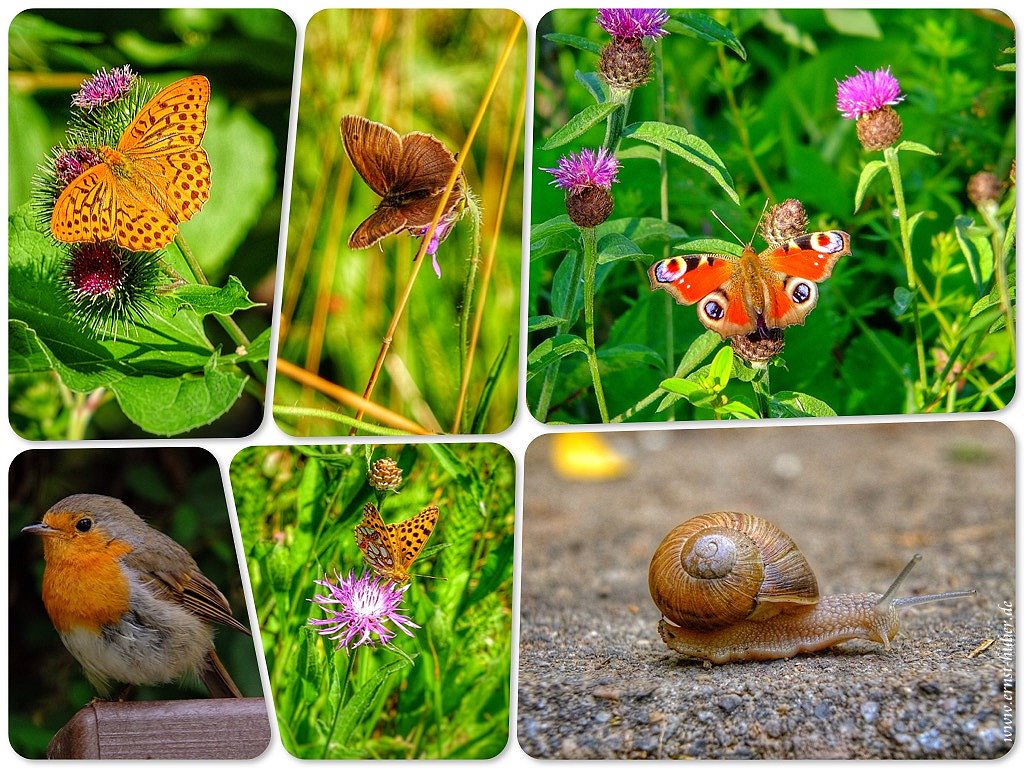 Natur pur im Landkreis Main Spessart