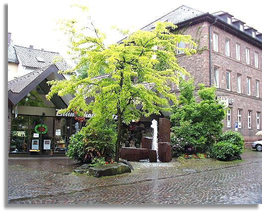 Obertorbrunnen vor Fa. Blumen Hutzel