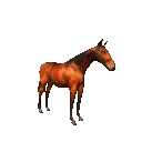 Pferd