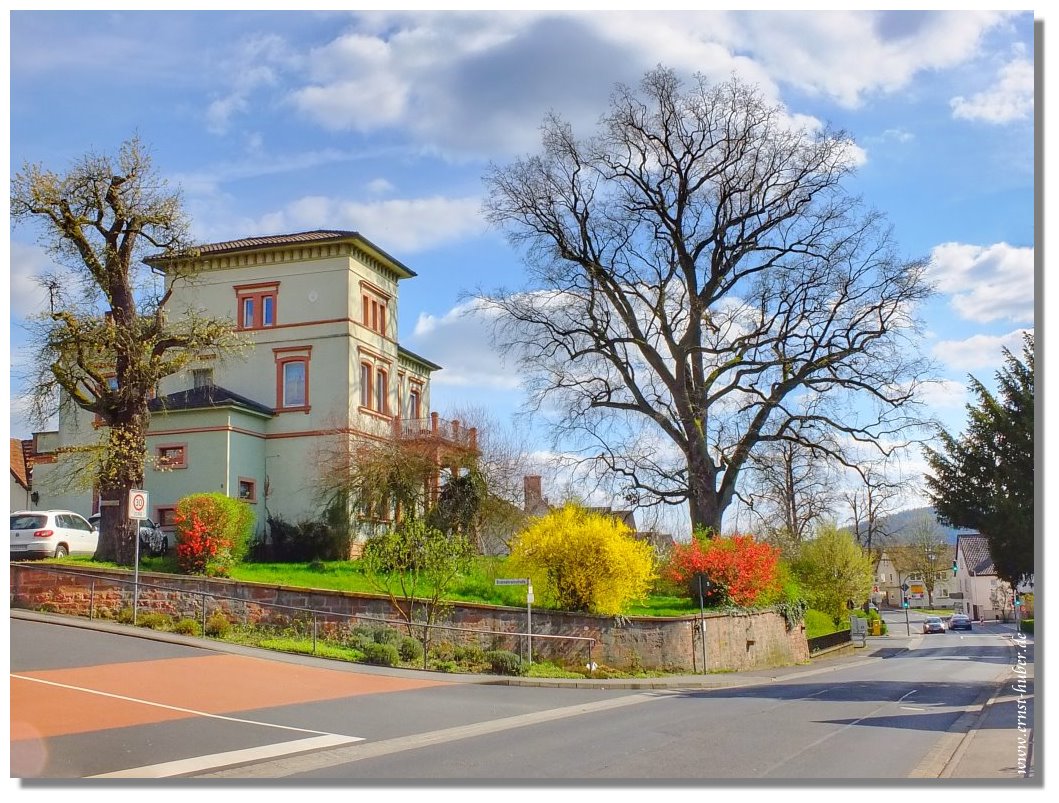 Frhling 2019 in Lohr a. Main/Sendelbach