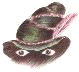 Räuberhut