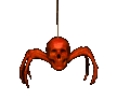 Spinne