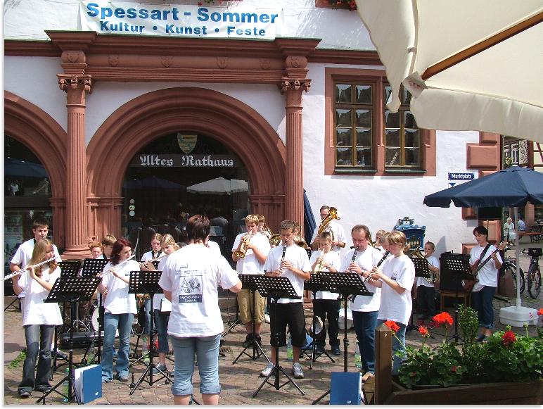 Spessartsommer Lohr ***Ein Klick für weitere Bilder***