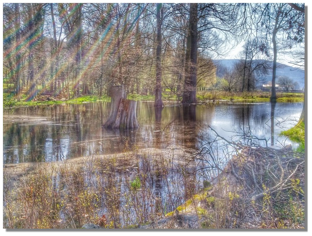 Der Stadlersee in Lohr a. Main