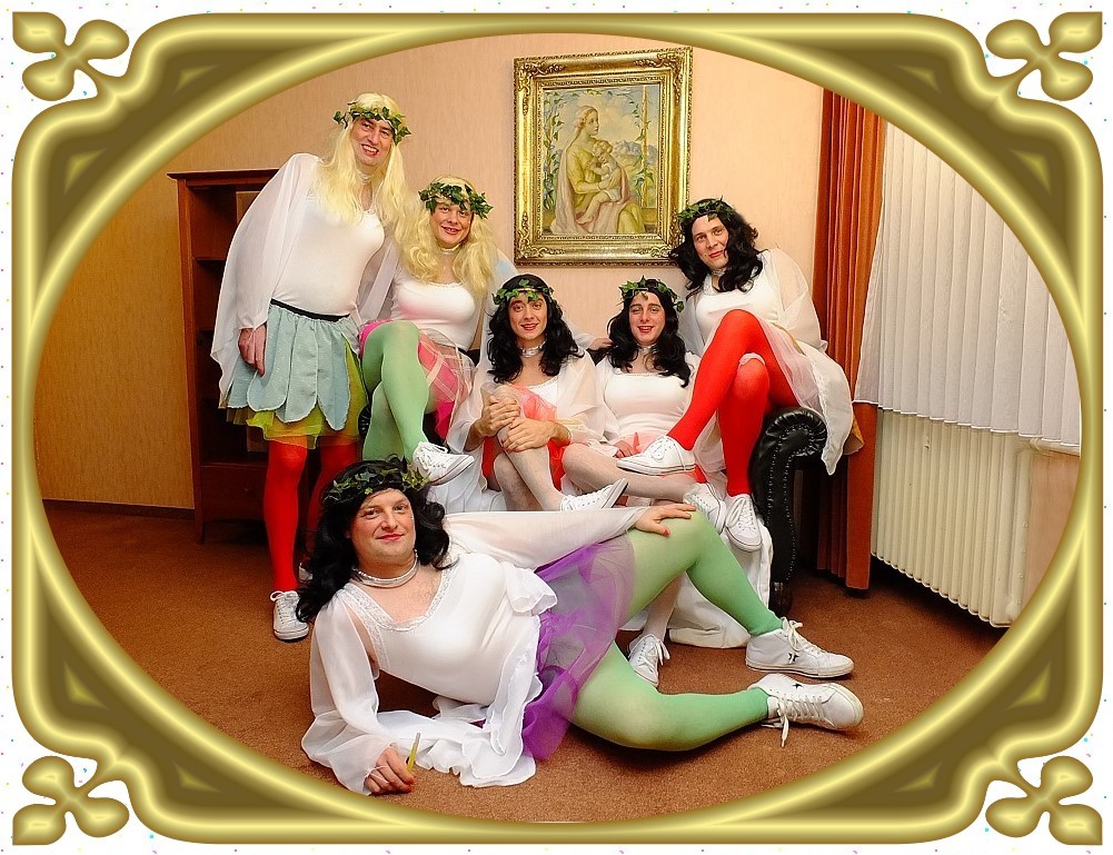 Steebicher Elfen bei der Faschingssitzung 2014