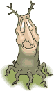 Baumwelten