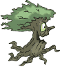 Baum