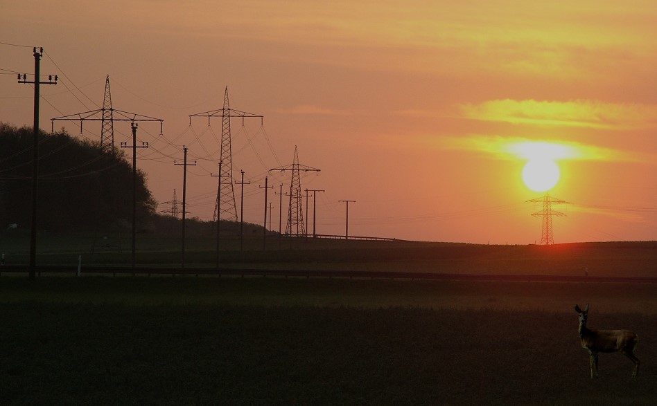 Sonnenaufgang in Waldzell im Landkreis Main Spessart
