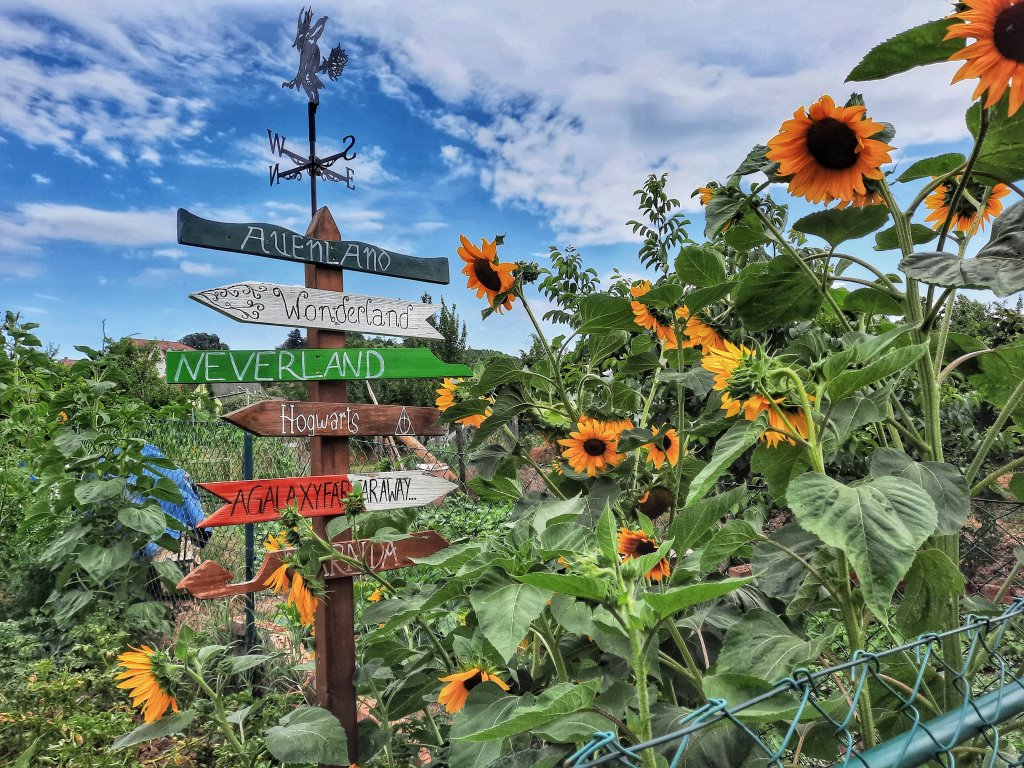 Wegweiser in Lohr a. Main/Sendelbach