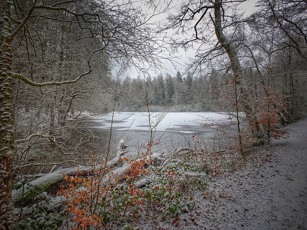 Der Wiesbüttsee in Wiesen