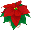 Weihnachtsstern