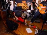 hounddogs_285.jpg
