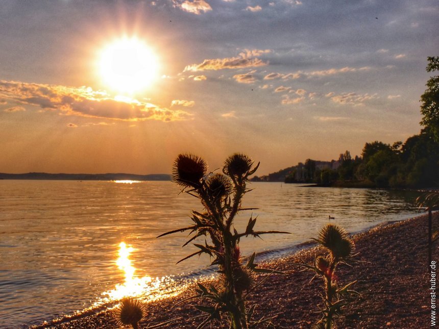 bodensee2023__071.jpg