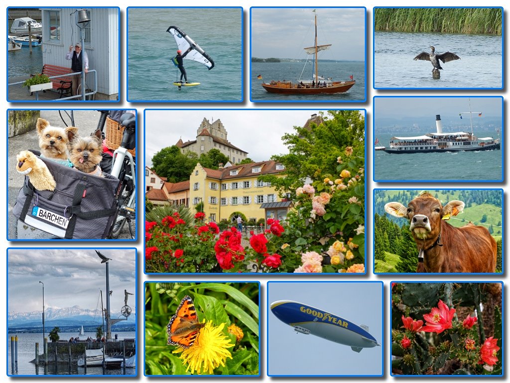 Impressionen rund um den Bodensee im Juni 2025