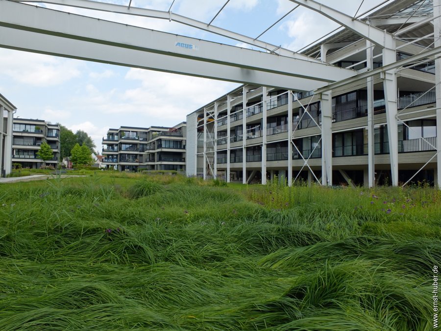 bodensee2025-___047.jpg