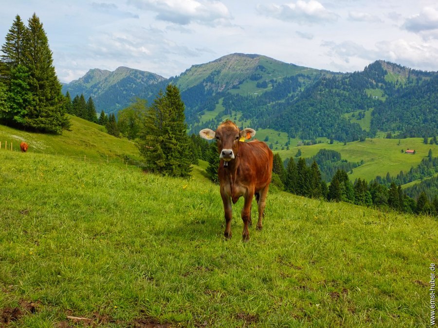 bodensee2025-___053.jpg