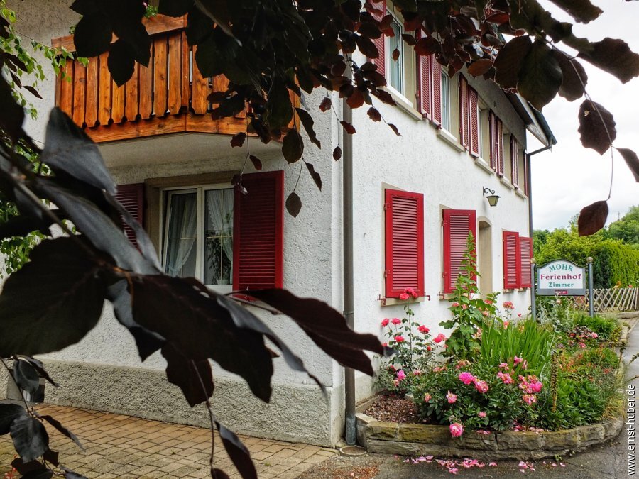 bodensee2025-___075.jpg