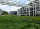 bodensee2025-___047.jpg