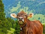 bodensee2025-___054.jpg