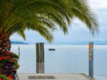 bodensee2025-___060.jpg