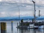bodensee2025-___081.jpg