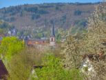 buchental2020_212.jpg