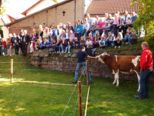 bullenschiss_080.jpg
