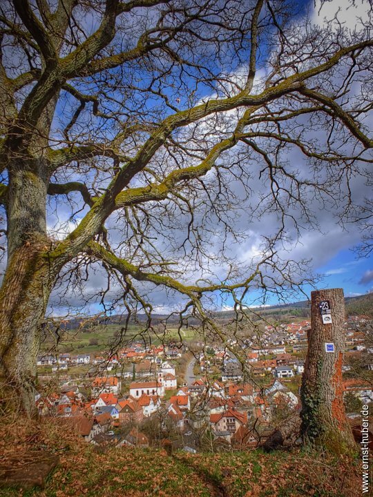 burg_bartenstein_164.jpg