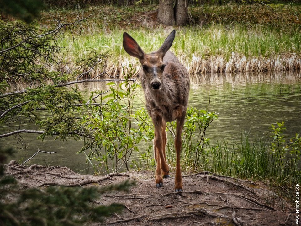 canada2024__036.jpg