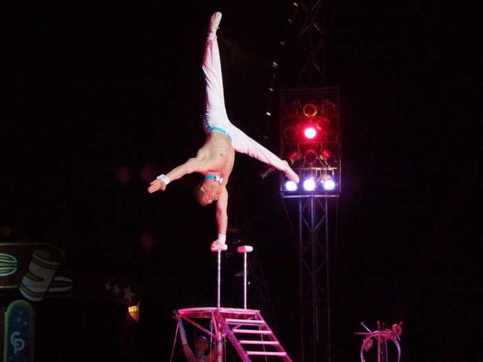 circus_probst_302.jpg