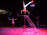 circus_probst_312.jpg