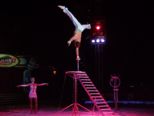 circus_probst_318.jpg